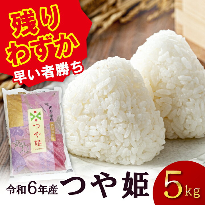 令和6年産のコシヒカリ5kg×2袋 早い者勝ち！ 令和7