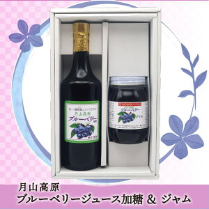 月山高原ブルーベリージュース(加糖)&ジャム詰め合わせセット【ジュース(720ml/加糖)×1・ジャム(550g)×1】鈴木農園(山形県鶴岡市羽黒町) 土産 お取り寄せ 特産品 ギフト グルメ 健康 濃縮 アン