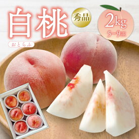【2026年予約販売開始】おとらふ「白桃（秀品/2kg 5～9玉）」【2026年8月上旬～9月上旬頃発送予定】　山形県寒河江市　もも　白桃　秀品　産地直送　ギフト