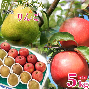 1̓|Cg5{Iy2025N\̔zH铰uEtX񂲃Zbg5kgie8ʁjvt[cZbg@EtX @ӂ 12{`@Yn@Mtg@ꕔ