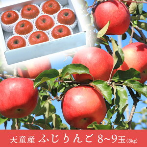 5̓|Cg5{IyVX[p[Z[Ώۏi10OFF!y2025N\̔zH铰uӂ 3kgi8`9ʁjvӂ R`VY 3kg 8`9 R` V 12{`@Mtg@ꕔ