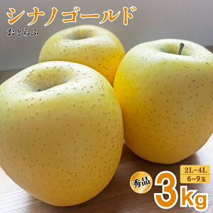 1̓|Cg5{Iy2025N\̔zƂӁuVimS[h iGi/2L`4LjvR`͍]s@񂲁@Gi@VimS[h@3kg@5kgYn@11{`@Mtg@ꕔ