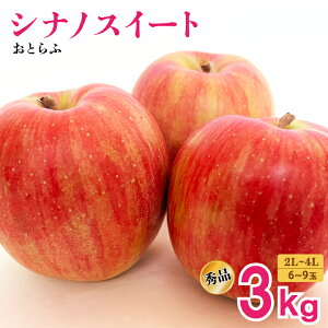 30̓|Cg5{Iy2025N\̔zƂӁuVimXC[giGi/2L`4LjvR`͍]s@񂲁@Gi@VimXC[g@3kg@5kgYn@11{`@Mtg@ꕔ