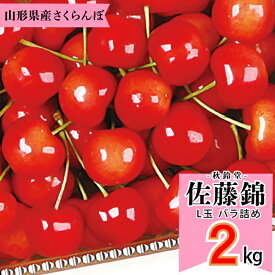 4月25日はポイント5倍！【2024年6月中旬～6月下旬発送予定】秋鈴堂「佐藤錦（約2kg/バラ詰め）」(露地栽培)　山形県寒河江産　L玉バラ詰め　6月中旬～6月下旬発送　産地直送　お中元　ギフト　一部送料無料