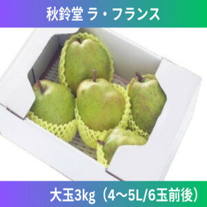 y2025N\̔zH铰uEtX 3kgi4`5L/6ʑOjvR`RY@EtX@4`5L@Yn@11{`@Mtg@ꕔ