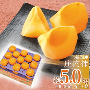 y2025N\̔zJA߉u` Gi5kgiL`M/26`30jvȂ R`߉sY@`@aρ@Mtg@ꕔ