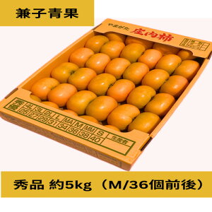 25日はポイント5倍!【2025年予約販売】兼子青果「庄内柿 秀品 約5kg(M/36個前後)」種なし 山形県鶴岡市産 庄内柿 渋抜済 ギフト 一部送料無料