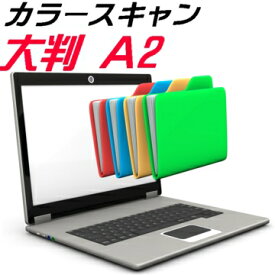 カラー スキャン A2 大判 大型 スキャニング サービス JPG