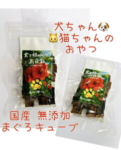 ���Y���Y���@�܂���f���V���X�L���[�u�@���@�L�@����@�h���C�t�[�h�@�H���@��