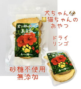 Y@Y@sgp@hC񂲁@@L@@hCt[c@H@