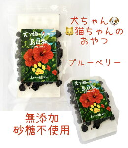 無添加 砂糖不使用 ブルーベリー 犬 猫 おやつ ドライフルーツ 食物繊維