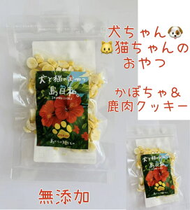 Y@ڂ[NbL[@@L@@hCt[h@H@