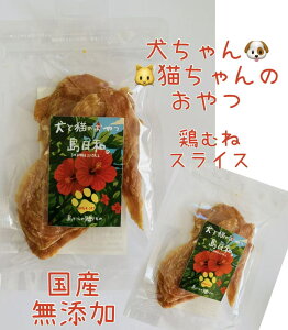 YY@{ނ˃XCX@@L@@hCt[h@H@