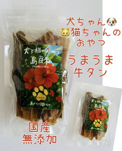 YY@܂܋^@@L@@hCt[h@H@