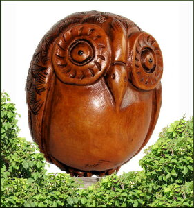 ܁yfkbr-iz u/ؐ tNE/sJ/蕨/N/a ̓ ̓ hV̓ aMtg