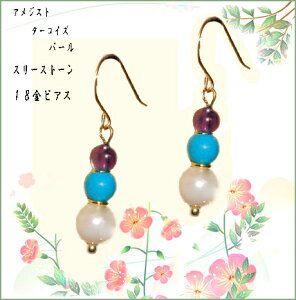 AWXg^[RCYAR^X[Xg[18tbNsAX