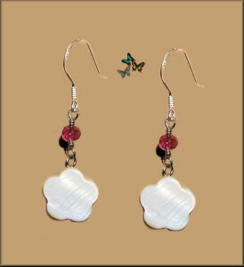 VRΏԂAWXgԂ背C{[t[LlC킢Vo[sAXCO