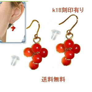 k18sAX R[ bh ԎX Ԃ TS S[h18  tbNsAX  䂤pPbgyz bhXg[