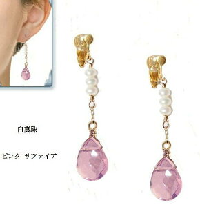 AWXg fB[X CO@sNTt@CA ^ p[ h  蕨 eBAhbv@X[Xg[@[ցyz