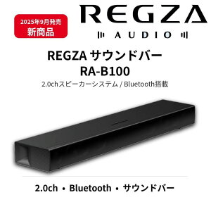 ���J���i REGZA ���O�U �T�E���h�o�[ RA-B100 (A) 2.0ch�X�s�[�J�[�V�X�e�� Bluetooth���� �t�������W�X�s�[�J�[�𓋍� �ő�100W�̃}���`�A���v�쓮