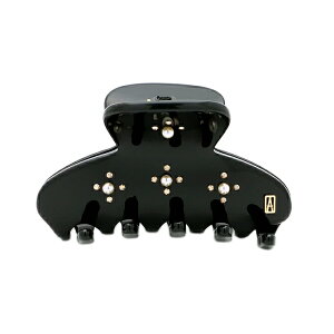 �A���N�T���h�� �h�D �p�� ALEXANDRE DE PARIS �N���b�v S�T�C�Y �i�u���b�N�j �V�� ACCS 18602 04N CLIP S ������ �~�j �� �w�A�N���b�v ������� ���킢�� �n�[�t�A�b�v �t�����X�� �v���[���g �w�A�A�N