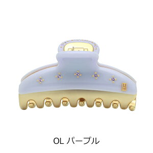 �A���N�T���h�� �h�D �p�� ALEXANDRE DE PARIS ���@���h�[���N���b�v M�T�C�Y �i4�F�j �V�� ICCM 15571 69 VENDOME CLIP M �t�����X�� �v���[���g �w�A�N���b�v ������� �w�A�A�N�Z�T���[ ������ �X�����t