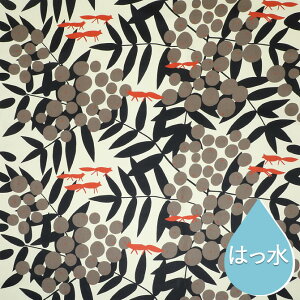 A_[X Almedahls H ANR[eBORbgn X[gETE[F iIWij 10cmPʃJbg̔   n | z DIY k t@ubN 100798 0000 acr