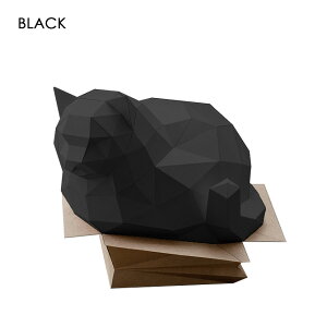 AXNNGCeBu Ask Creative J[gt@bgLbg i2Fj Box Cat y[p[Ntg  킢 u u tBMA 3D v[g  DIY lR MtgΉ y[