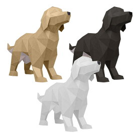 アスククリエイティブ Ask Creative ゴールデンレトリーバー （3色） Golden Retriever ペーパークラフト 置き物 置物 フィギュア 3D プレゼント 手作り DIY 犬 ギフト対応 【メール便なら送料無料】