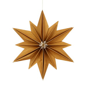 B lovi NX}X fRX^[ 24cm i3Fj DECOR STAR fR[V O[fBOJ[h gݗ 3D I[ig 킢  Ntg tBh v[g   u 