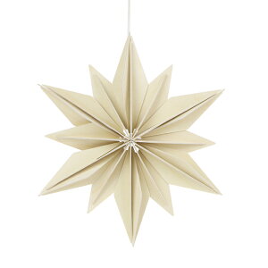 B lovi NX}X fRX^[ 24cm i3Fj DECOR STAR fR[V O[fBOJ[h gݗ 3D I[ig 킢  Ntg tBh v[g   u 