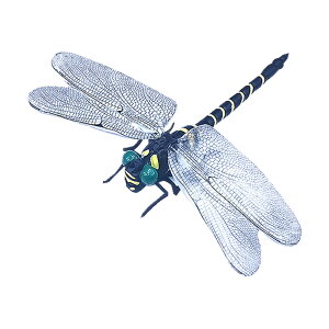 悯 rbOg{  Ij} ͌^  Sst  x_ Ԍ oR kނ Lv AEghA O  p ALW-DSHIFUy[ցz