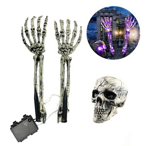  hN  [̘r Zbg KCRc  A[ nEB[  nEB fR[V  K[f ֐ K[fjO GNXeA LED  O  ALW-DKR-3PLED