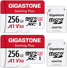 Gigastone MicroSDカード 256GB 2個セット, MicroSD 256GB 2-Pack, 2 SDアダプタ付 2 ミニ収納ケース付, 4K UHD動画 100MB/S 高速 MicroSDXC, UHS-I A1 V30 U1 C1