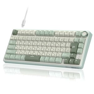 RK ROYAL KLUDGE R75 ���J�j�J���L�[�{�[�h �L�� ���{��z�� �{�����[���m�u���� 75%�J�X�^�� �K�X�P�b�g�}�E���g�\�� RGB�o�b�N���C�g �\�t�g�E�F�A�Ή� Cherry Profile�v���t�@�C�� PBT�L�[�L���b�v 