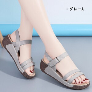 X|[cT_  T_ fB[X _bhV[Y   Ȃ xN T_ fB[X EFbW\[ r r[`T_ q[5cm gAbv  r JWA