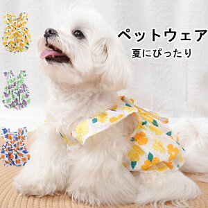 ybgEFA ybgm ybgs[X ybgXJ[g ԕ Lp ybg ^ ^ C GKg ĕ ėp   Vv IVU 킢 Sn