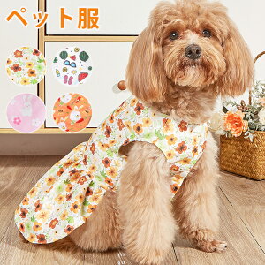 ybg   L hbOEFA s[X 킢 c   hbOxr[ t  킢 ` ybg  Ck  IV ̕ L̕ Be Lp p[eB[