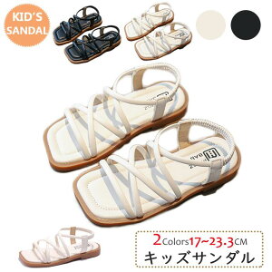 T_ ̎q j̎q LbYT_ qT_ xr[T_ q X|[cT_ xr[T_ j  y ɂ Snǂ  ItzCg 16.5cm`23cmy