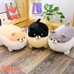 ʂ NbV  YQ CeA 50cm q   Č    킢 ޏ ӂӂŖ _炩 Sn ܂ v[g