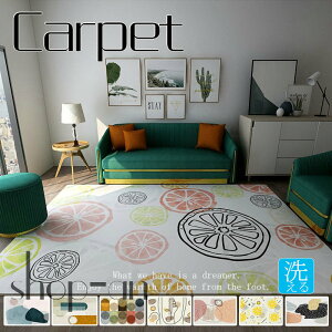 送料無料 カーペット おしゃれ 北欧風 暖かい ラグマット 長方形 秋用 ラグ 140×200cm 160×200cm 160×230cm ラグ 家庭用 滑り止め 厚手 インテリア オールシーズン 床暖房対応 耐熱 こたつ敷き じゅ