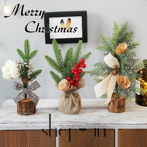  ~jc[  NX}Xc[ ڂ c[ 25cm ƒp fR[Vc[ 蕨 NX}X NX}X I[ig ^ NX}X  NX}