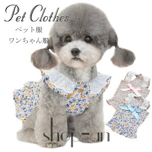  ybg  s[X tXJ[g [Xt p hbOEFA ybg p [EFA  t ĕ tďH~  ԕ  IV U 킢 I[