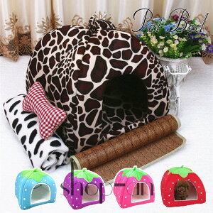  ybgxbh  L PET HOUSE ybgnEX Lp ybgxbh p nEX ybgnEX t H ~ ^  p  4_Zbg ybgp lRnEX  h[^ \