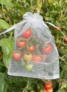 Ifukensぶどう袋果実袋防鳥ネット防虫ネット家庭菜園果物袋果物保護バッグ葡萄園芸ネット50枚入桃の袋鳩よけネットブドウ袋農業用遮光見える通気性巾着袋イチゴイチジクトマト梅サクラ…