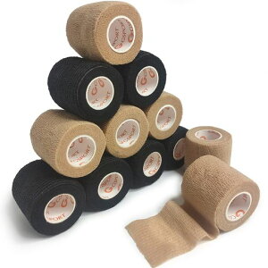 сAȔSтAwAArAeсApLk5cm6[̐F6[