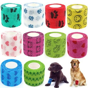 KALOLINNAybgtbNXXe[sOS5cmx4.5mLkѐLkюʋC@\oe[WsDzLrߖh~ی쎩уZbg(10_Zbg)