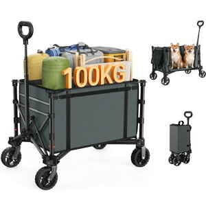 RaynesysL[SAEghASω׏d100kge120LLvJ[g^b`܂ݎ[ÉLv/l/ނ/z//S~o[Jo[tGray