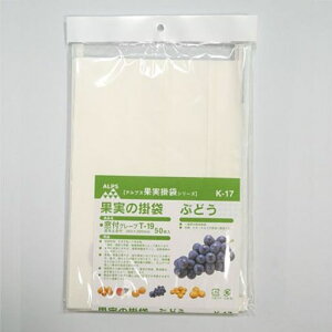 F{Xʎ܂ԂǂEsI[lȂǂ̈琬ɓKuhEpK-1750