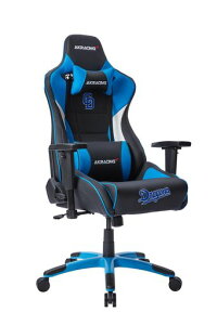 AKRacingQ[~O`FAfXN`FAPro-XV2DragonshSYR{fϋvPUU[180xNCjOݑ[g